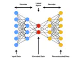 Non-intrusive Reduced Order Modelling Using Autoencoders